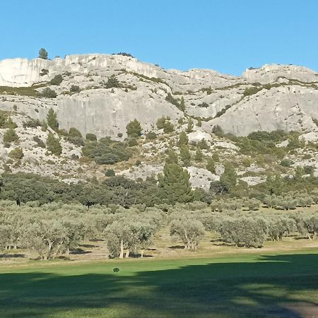 Chambre D'Hote Au Coeur Des Alpilles Mouries Buitenkant foto